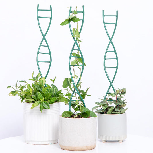 GOOOXIM Indoor Plant Trellis - DNA Spiral Design Metal Trellis for Potted Plants, Stylish Climbing Support for Small Houseplants, Durable & Easy to Install Garden Upgrade for Vining Plants
