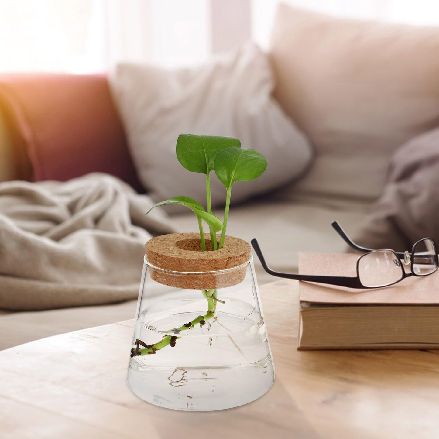 SOLUSTRE 2pcs Glass Hydroponic Plant Vases with 6.5cm Opening, Glass Terrarium for Water Propagation, Small Desktop Home and Office Garden Decoration