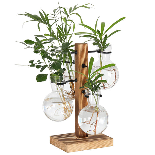 PAG-Mass Plant Propagation Station with 4 Glass Vases & Wood Stand, Hydroponic Air Planter for Indoor Plants, Unique Gardening Gift for Women & Plant Lovers, Desktop Terrarium for Home Decor