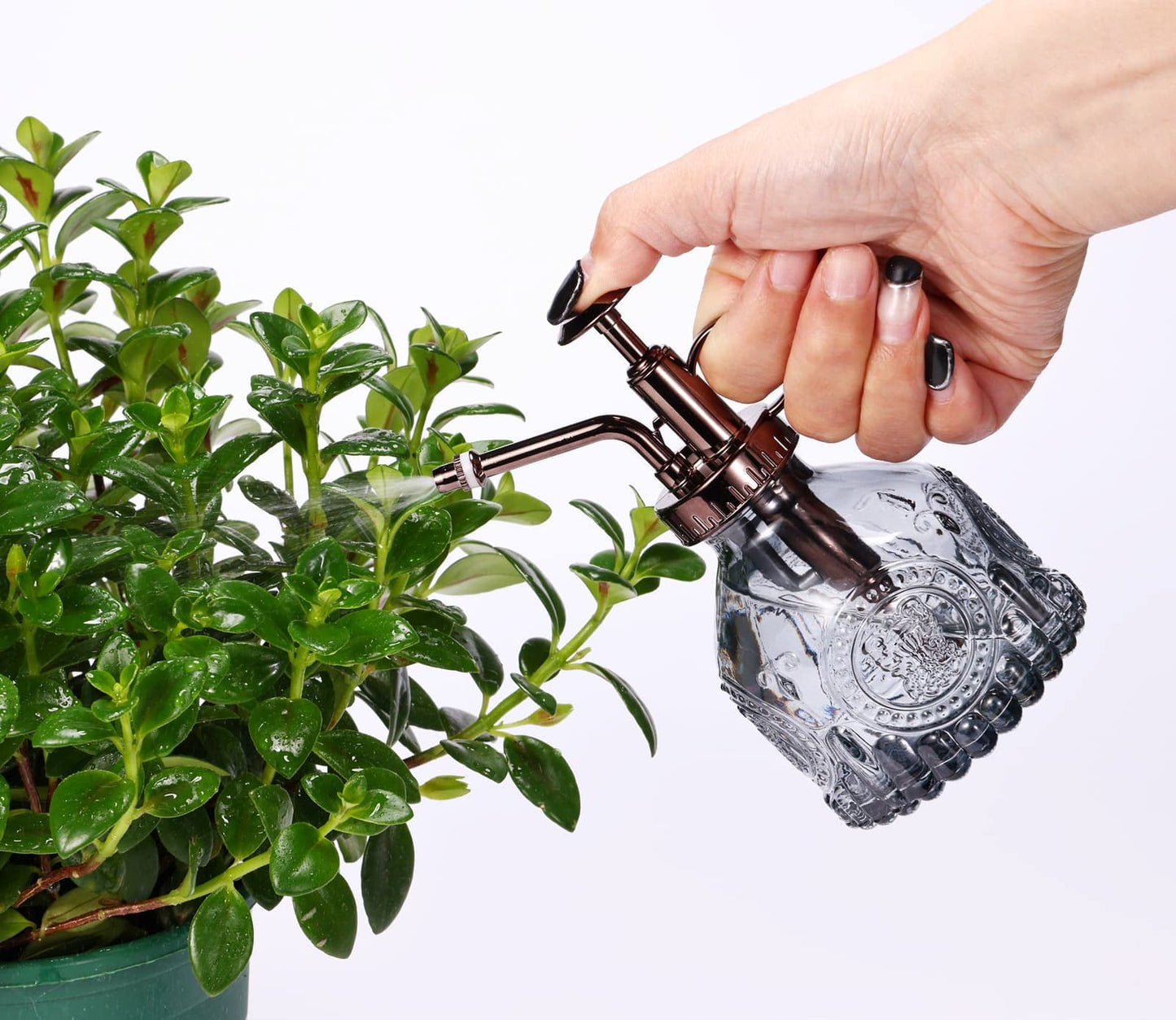 Aebor Glass Plant Mister - 6.5" Green Glass Water Spray Bottle with Gold Top Pump, Small Plant Sprayer for Indoor/Outdoor House Plants (Gray+Bronze)