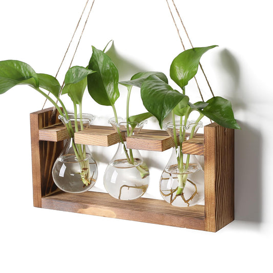 Plant Propagation Station Plant Terrarium Unique Birthday Gifts for Women Home Office Decor Planter with Wooden Stand - 3 Bulb Glass Vase