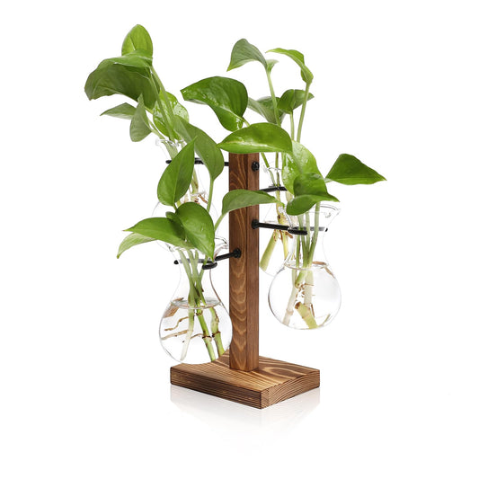 Plants Propagation Stations Bulb Glass Propagation Birthday Gift for Women Garden Plant Lovers - 4 Bulb