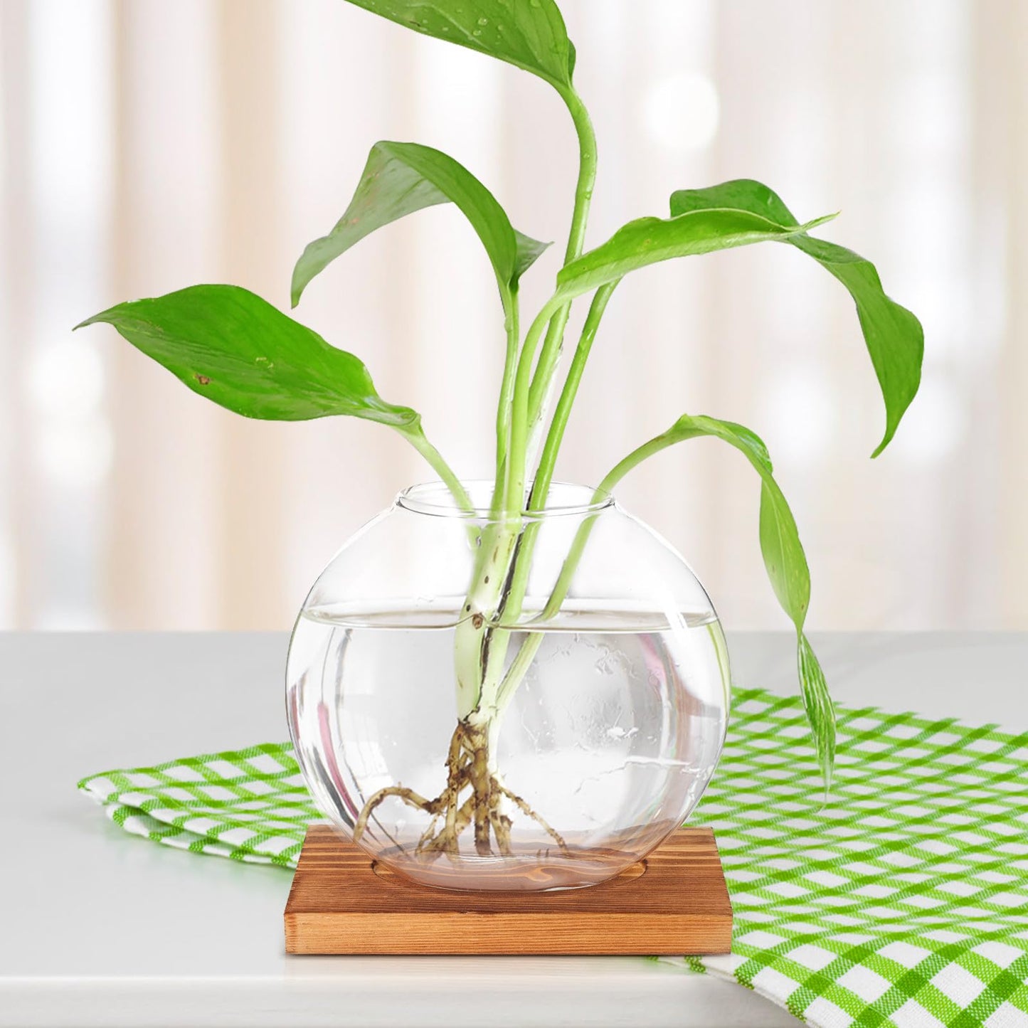 LALADEFIEE Desktop Glass Hydroponic Plant Vase with Retro Wood Base, Scindapsus Aureus Terrarium Planter for Office and Home Décor