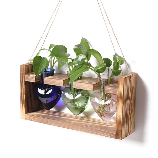Plant Terrarium Propagation Stations Hydroponics Home Garden Decoration Gift for Women with Wooden Stand Heart Shaped Colored Glass Vase