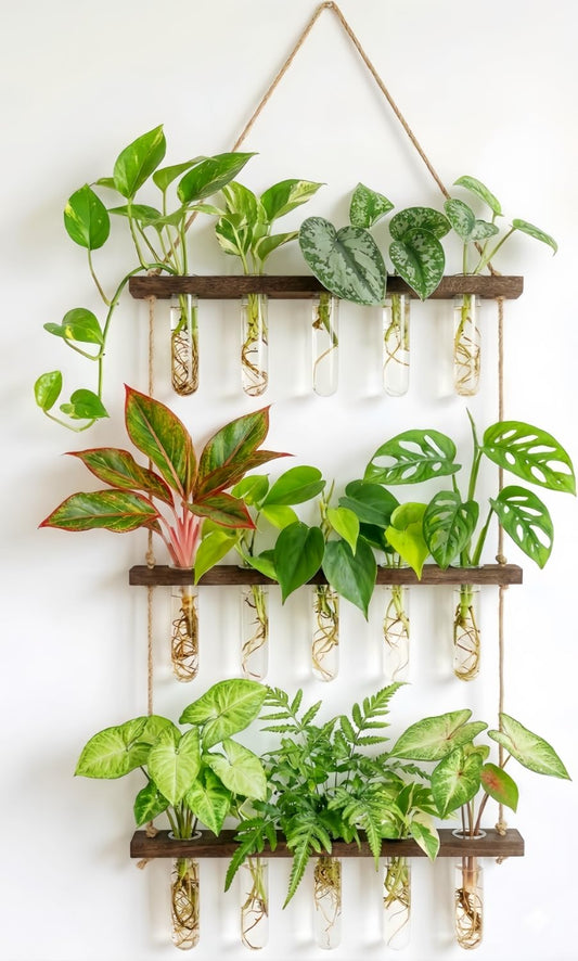 Unijoy Glass Hanging Plant Propagation Station - 3-Tier Wall Planter with Hydroponic Tube Vases - Stylish Indoor Terrarium for Tiny Home Office Decor & Ideal Gift for Plant Lovers