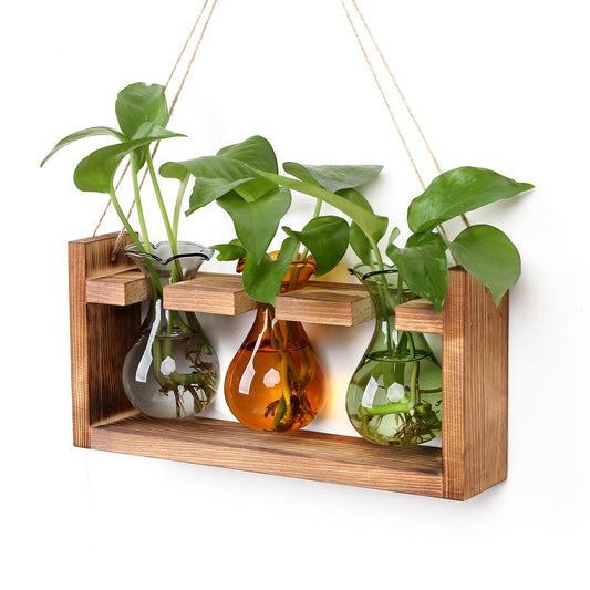 Plant Propagation Station Plant Terrarium Unique Birthday Gifts for Women Home Office Decor Planter with Wooden Stand - 3 Bulb Glass Vase