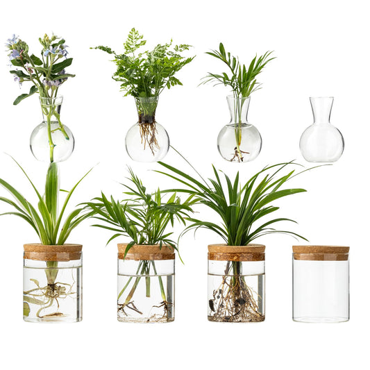 Plant Propagation Stations, 2 Style Glass Planter Terrariums, Propagation Vases for Plant, Plant Propagation Jars for Hydroponic Planter Home Office Tabletop Decoration (8)