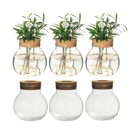 wangsdjy Plant Propagation Station,Hydroponic Terrarium Vase,Desktop Glass Planter Station,for Houses,Garden Decorations,ropagating Hydroponic Plants,Centerpiece Office,Home Garden Decor (6)