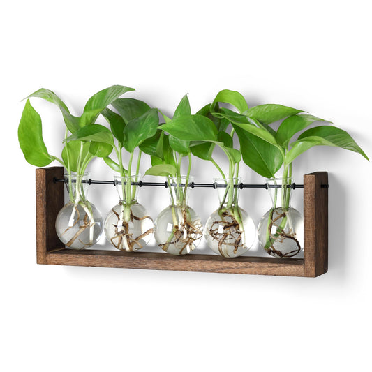 YIBOT Wall Hanging Glass Planter Plant Propagation Vase for Indoor Home Office Living Room Decor Gifts, Plant Terrarium with Wooden Stand-5 Bulb Glass Vases