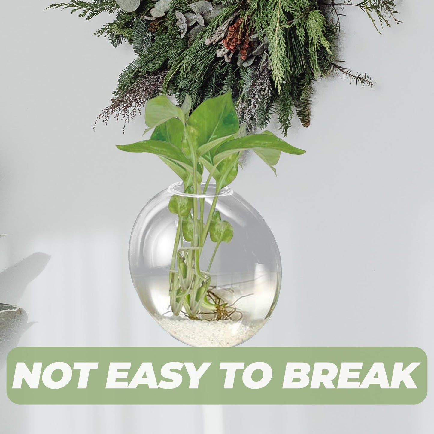 NUOBESTY Wall Mounted Glass Planter Vase for Hydroponic Plants, Small Terrarium Pot for Air Plant Propagation and Home Décor, Single Hanging Glass Flower Vase