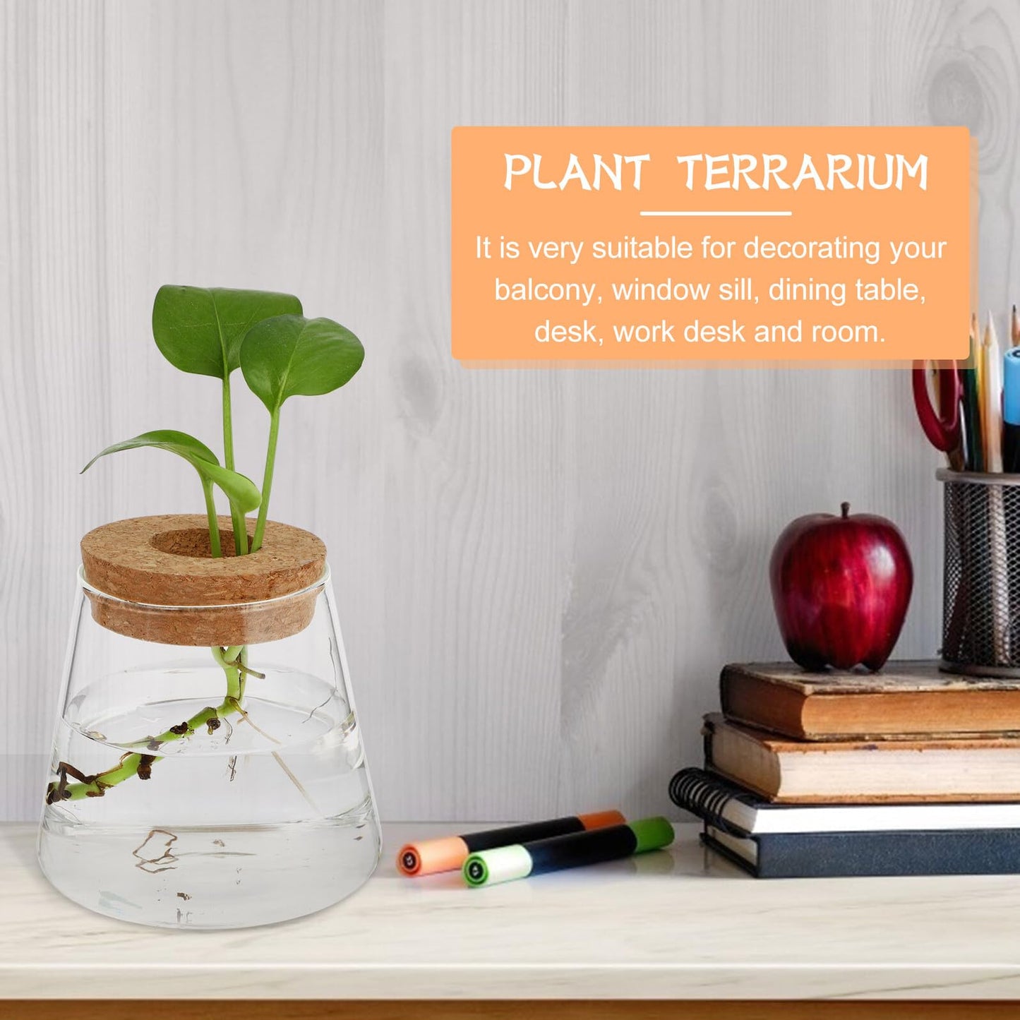 Healifty 2pcs Hydroponic Glass Planter Vases 6.5cm Mouth Diameter Glass Terrarium Plant Containers for Home Office Garden Decoration