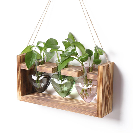 Plant Terrarium Propagation Stations Hydroponics Home Garden Decoration Gift for Women with Wooden Stand Heart Shaped Colored Glass Vase