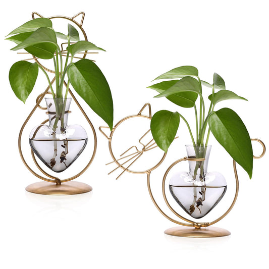Plant Terrarium Plants Propagation Station Cat Lover Gifts for Women Home Office Decor Cat Desk Accessories