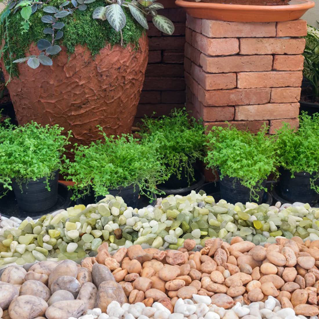YISZM 5LB Succulent and Cactus Jade Pebbles, 3/8 Inch Natural Decorative Polished Stones, River Rocks for Indoor Plants, Vases, Planters and Outdoor Gardening