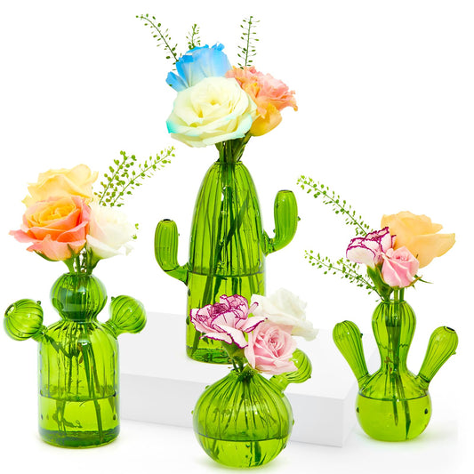 XXXFLOWER Cactus Plant Propagation Station Terrarium Jars for Plant Cuttings Air Plant Holders Unique Glass Flower Vase for Hydroponics Plants for Plant Lovers Home Garden Decor