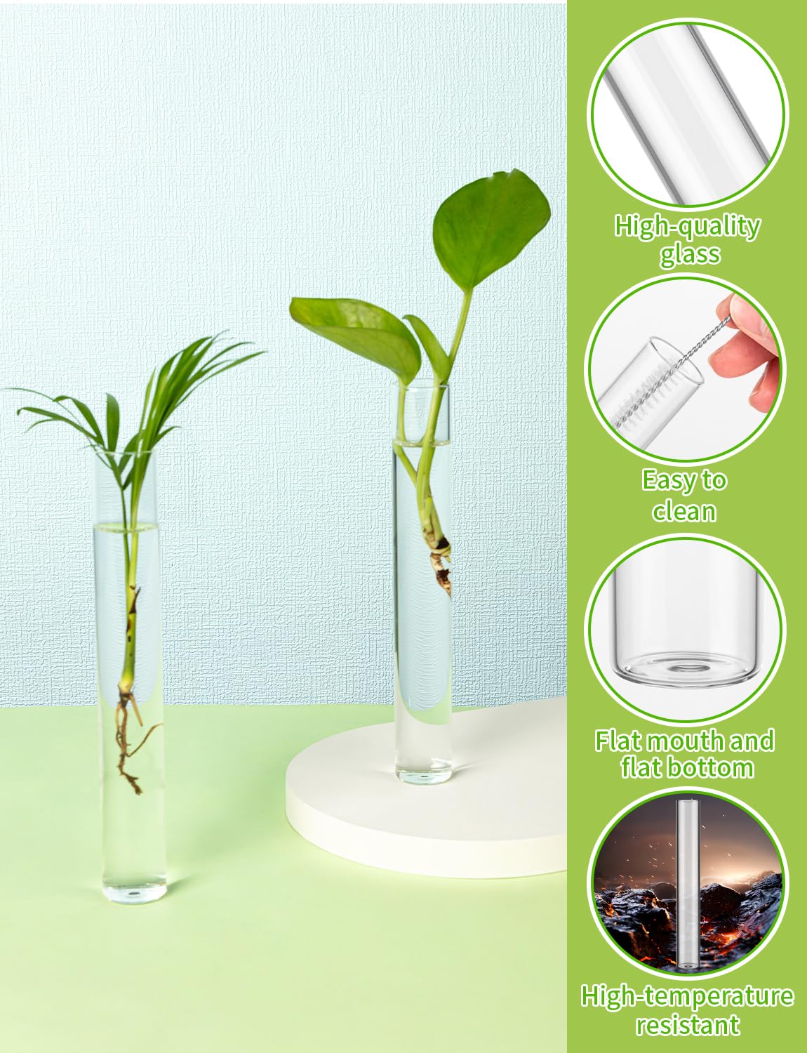 16 Tube Glass Plant Propagation Stations Clear Glass Test Tubes Tiered Planters Accessories for Home Office Plant Hanger Flower Vases Wall Decor Hydroponic Cuttings Clear Vases
