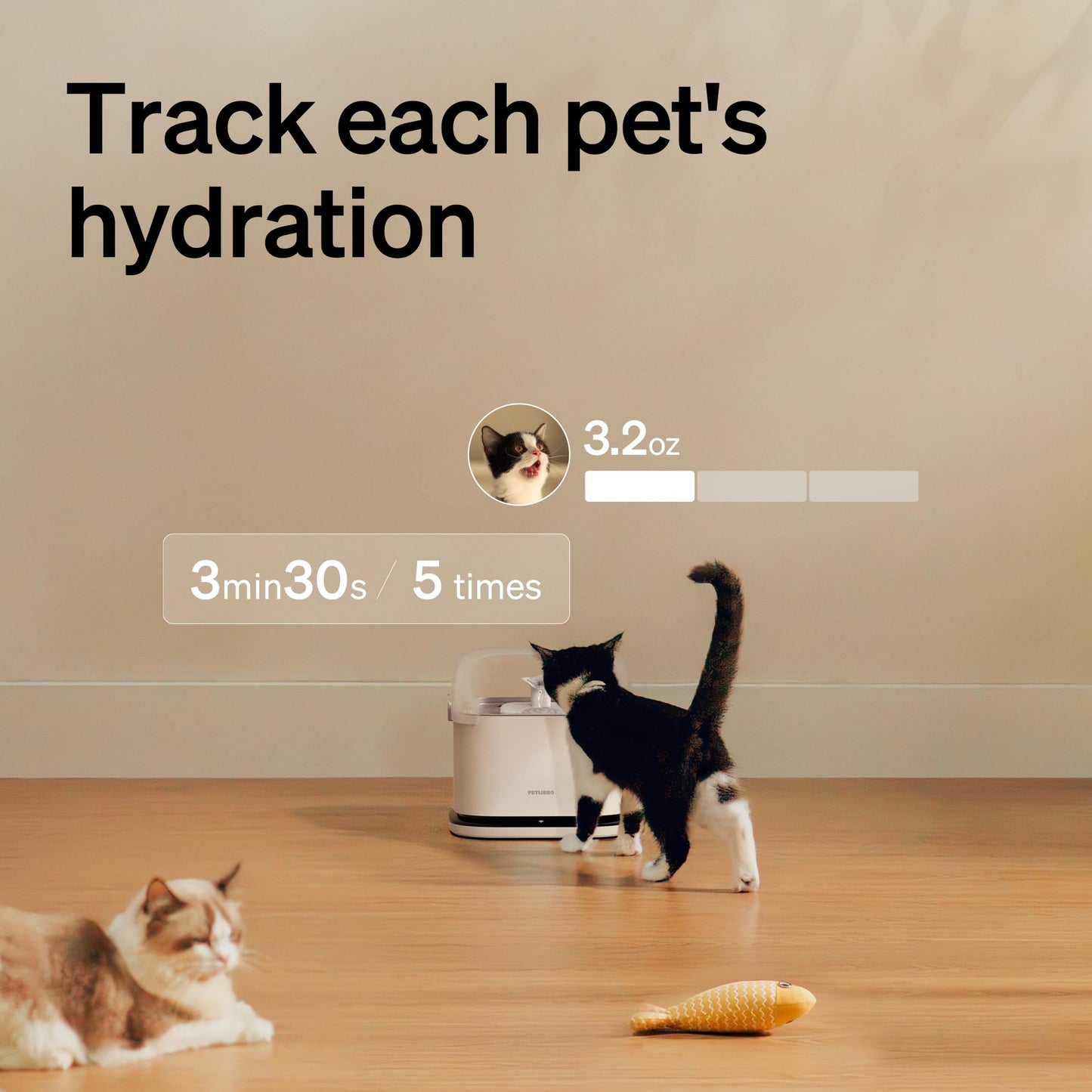 Bundle of PETLIBRO RFID Smart App Cat Water Fountain 2.4G Wi-Fi, 101oz/3L Fountain with Collar Tag+PETLIBRO Upgraded RFID Automatic Cat Feeder, 5G Wi-Fi Pet Feeder, 3L Feeder with Collar Tag,
