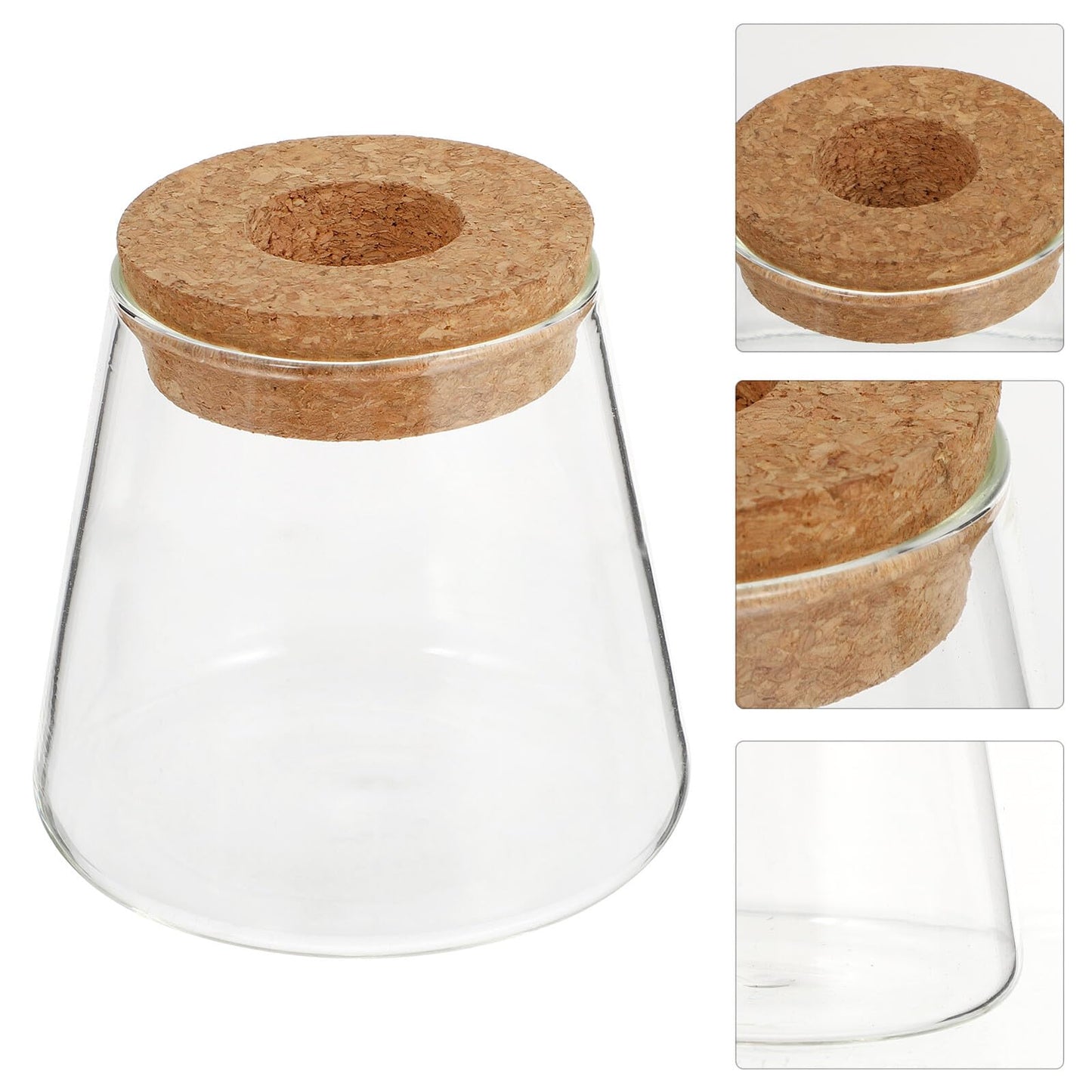 BESPORTBLE Glass Hydroponic Planter Vase 2pcs, 6.5cm Mouth Diameter Glass Plant Pots for Indoor Garden Decoration and Desktop Plant Propagation, Home Office Terrarium Environment