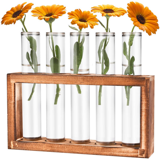 Tigvio Desktop Glass Plant Propagation Station with 5 Test Tubes in Wooden Stand - Hydroponic Plants Cutting Office Home Decoration and Garden Decor Terrarium (5 Tubes)