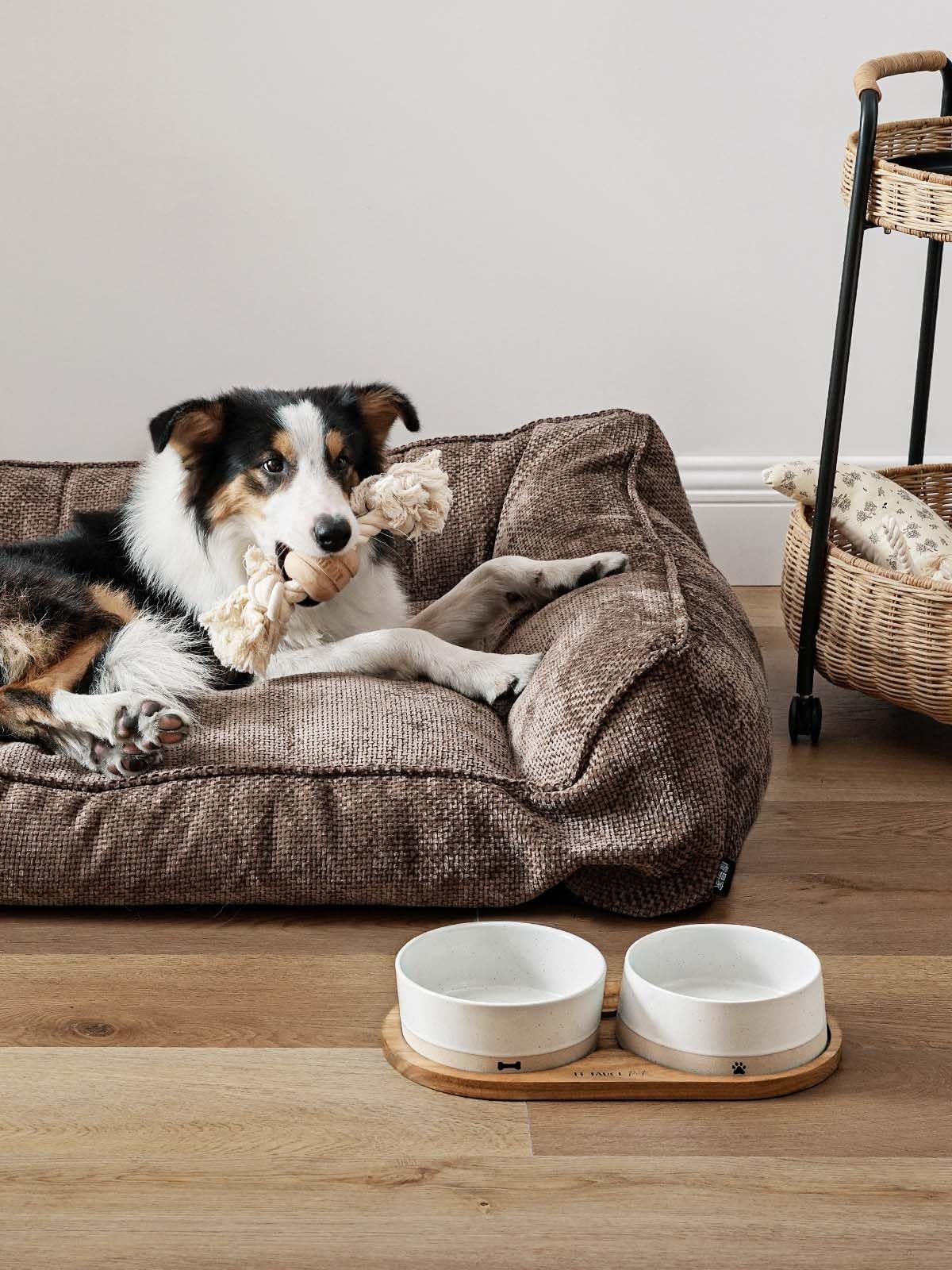 LE TAUCI PET Ceramic Dog Bowls for Medium and Small Dogs - 3.2 Cup Weighted Non-Slip Food and Water Bowls with Acacia Wood Tray, Pet Bowl Set of 2