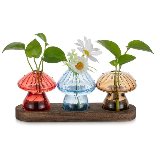 Glasseam Mushroom Plant Propagation Station: Glass Plant Terrarium Jar with Wood Stand Unique Hydroponic Planters for Indoor Plants Cute Propagation Vase for Plant Lovers Home Office Decor 3Pcs