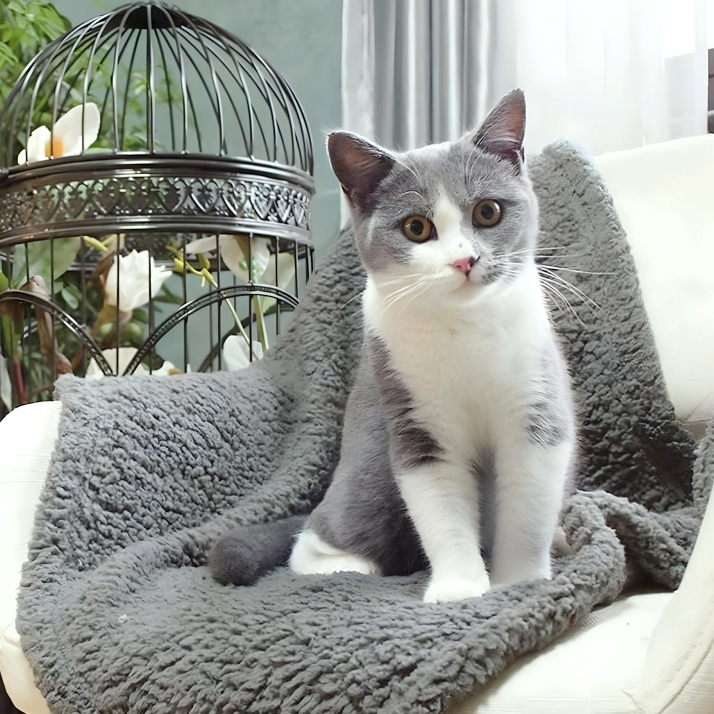 furrybaby 1 Pack 2 Puppy Blankets for Medium Dogs Super Soft Premium Sherpa Pet Calming Blankets for Cat Bed Couch Car and Indoor Washable Fleece Dog Blankets(32"x40", Grey&Grey)