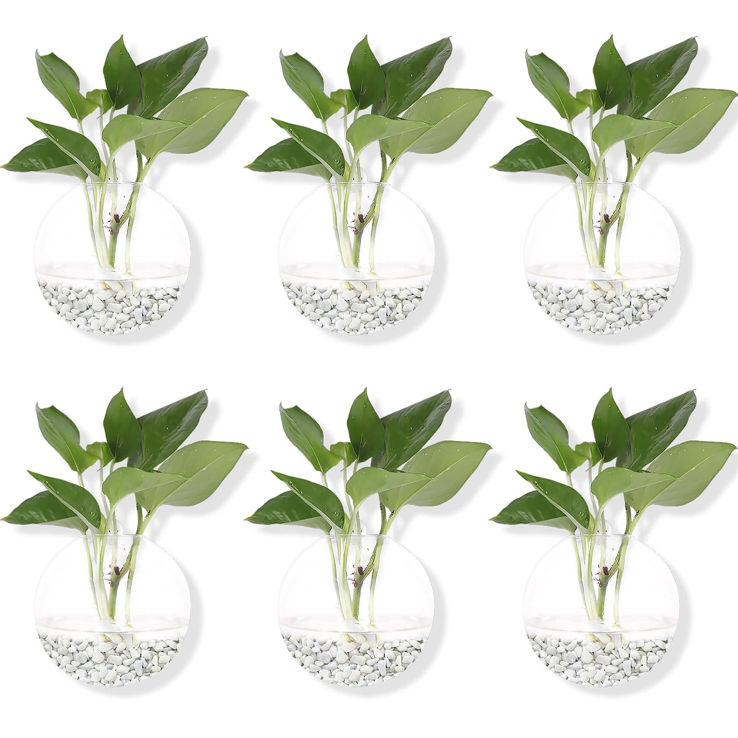 Hanging Wall Planters Pack of 6 Glass Planter Pots Round Glass Flower Vases Hanging Propagation Station Glass Plant Hanger Terrariums Wall Hanging Plant Container