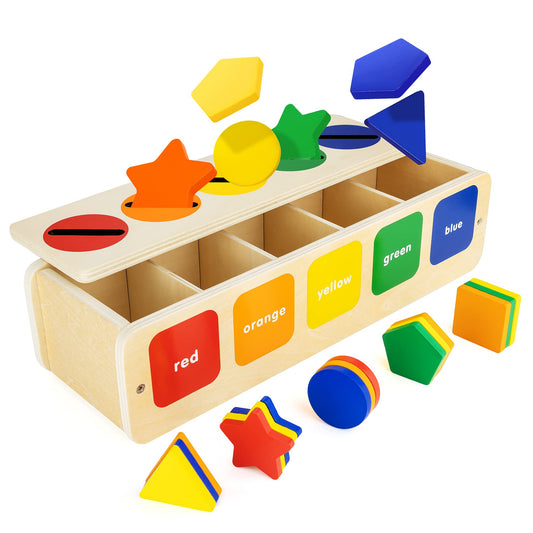 Lynncare Wooden Montessori Toy for 1 2 Year Old, Shape & Color Sorting Matching Toy with Box for Toddlers 1-3, for 1 2 3 Year Old Boy Girl Gifts