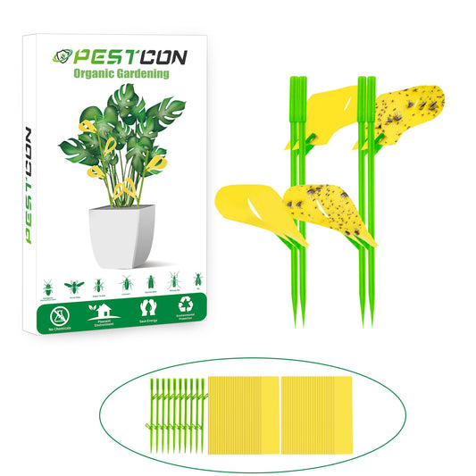 60PCS Yellow Sticky Traps for Plant Gnats Fungus Gnat Traps for House Indoor Fruit Fly Traps for Indoor/Outdoor Catcher for Whiteflies Mosquitoes Thrips Aphids... Stake Holders Included Dual-Sided