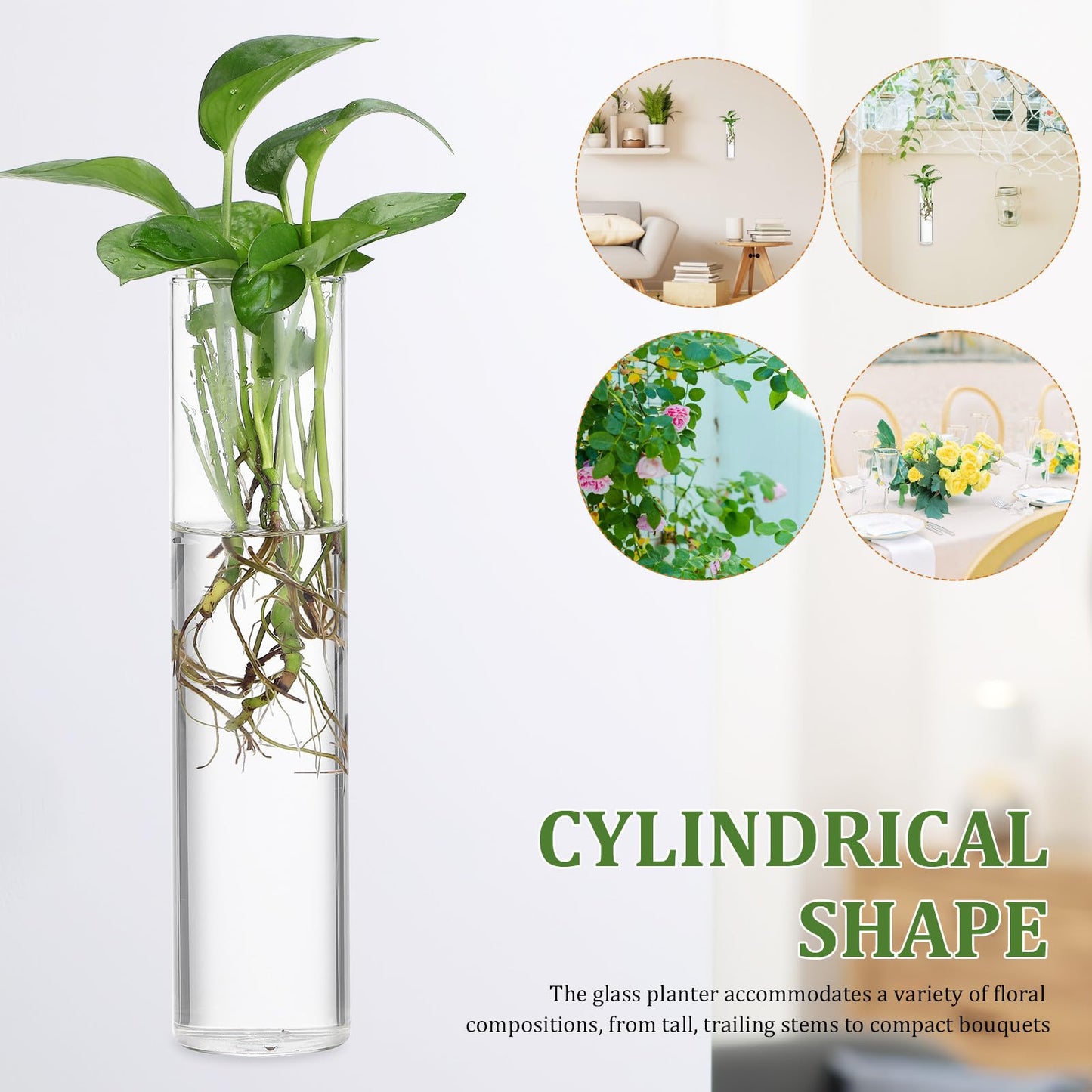 LALAFINA 2pcs Large Cylinder Hanging Glass Containers Set for Wall Hydroponic Plant Propagation, Contemporary Glass Holders for Home Décor and Indoor Terrariums