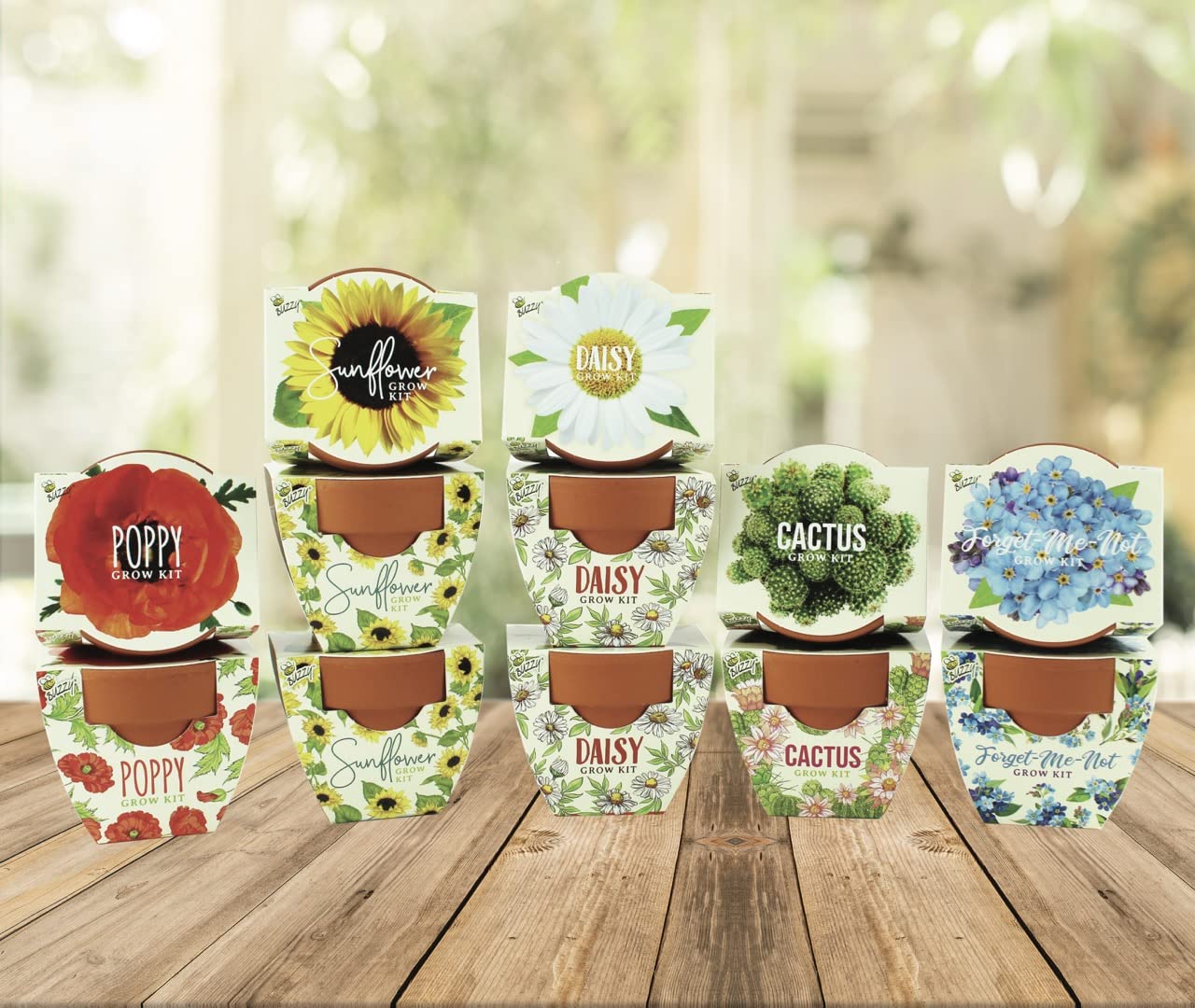 BUZZY Seeds Mini Terracotta Pots 12-Pack with Plant Seeds, Poppy, Sunflower, Daisy, Cactus and Forget Me Not, All-in-One Seed Starter Kit, Indoor Outdoor Gardening Gift, Wedding Favors, Mother's Day