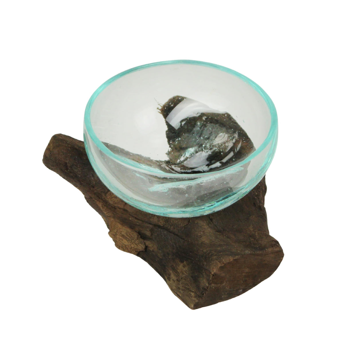 Wide-Mouth Glass and Teak Driftwood Sculptural Bowl – Unique 3.25” High, 5.75” Long, 4.5” Wide Decorative Centerpiece for Succulent Gardens, Floral Arrangements, and Home Décor