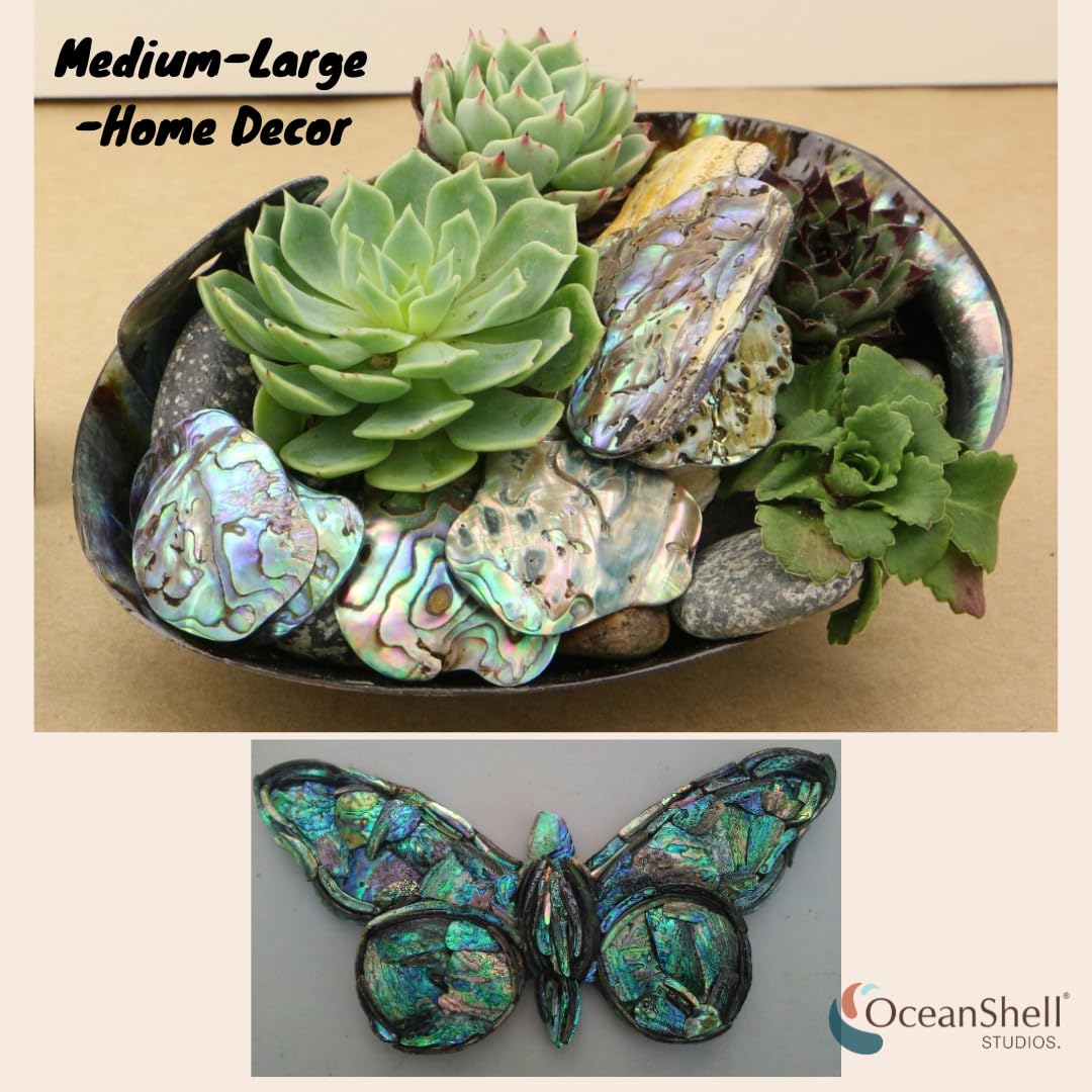 Abalone (Pāua) Shell Pieces-7.05oz Pack-for Crafts, Jewelry Making, Resin Art, Inlay, Home Decorations, Fishtank Supplies, DIY Projects - Satin, Small Size .60"- .98" (15-25 mm) 7.05oz (200grams)