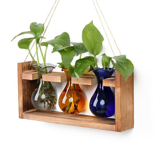 Plant Propagation Station Plant Terrarium Unique Birthday Gifts for Women Home Office Decor Planter with Wooden Stand - 3 Bulb Glass Vase