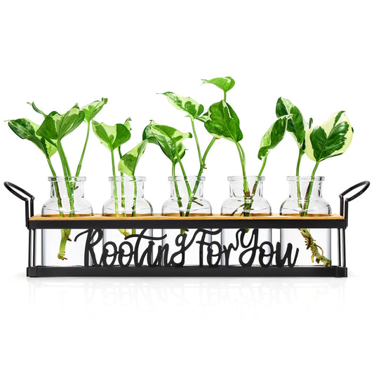 THYGIFTREE Plant Propagation Stations, for Plant Lovers Rooting for You Propagate Jars for Hydroponic Cuttings Propagating Vase