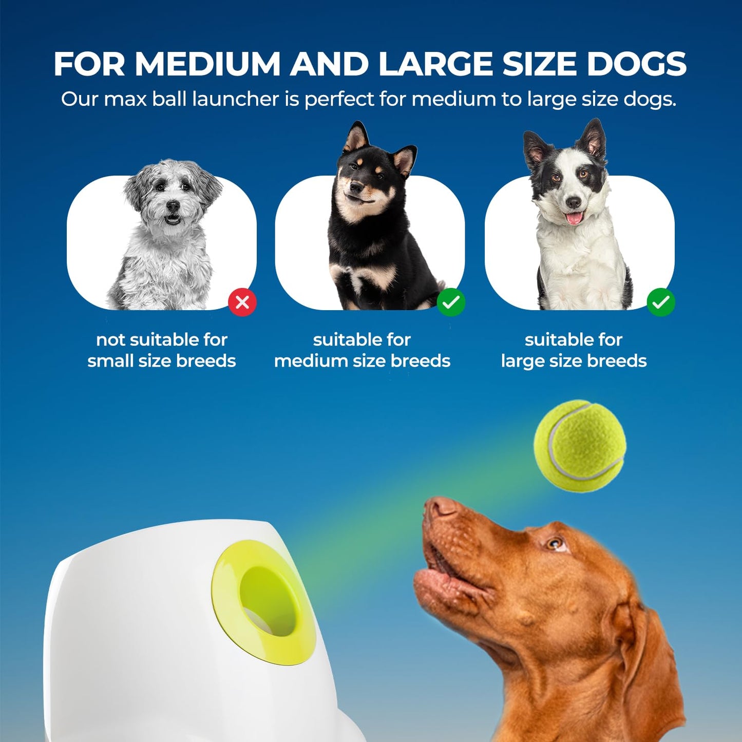 ALL FOR PAWS Automatic Ball Launcher for Dogs Interactive Puppy Pet Ball Outdoor Thrower Fetch Machine, 6 Balls Included (2.5 inch) + Six Tennis Balls Bundle