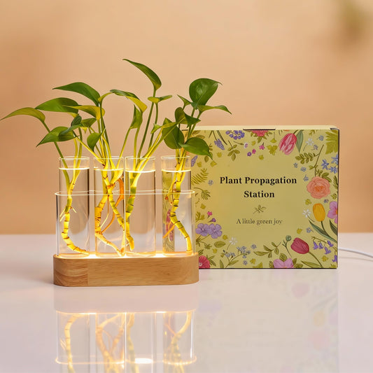 Plant Propagation Station with LED Lights, 4 Glass Test Tubes, Oak Stand, 3 Lighting Modes 9-Level Dimming, Rear USB-C Hidden, for Window Sill Desk Shelf, Gift for Plant Lovers