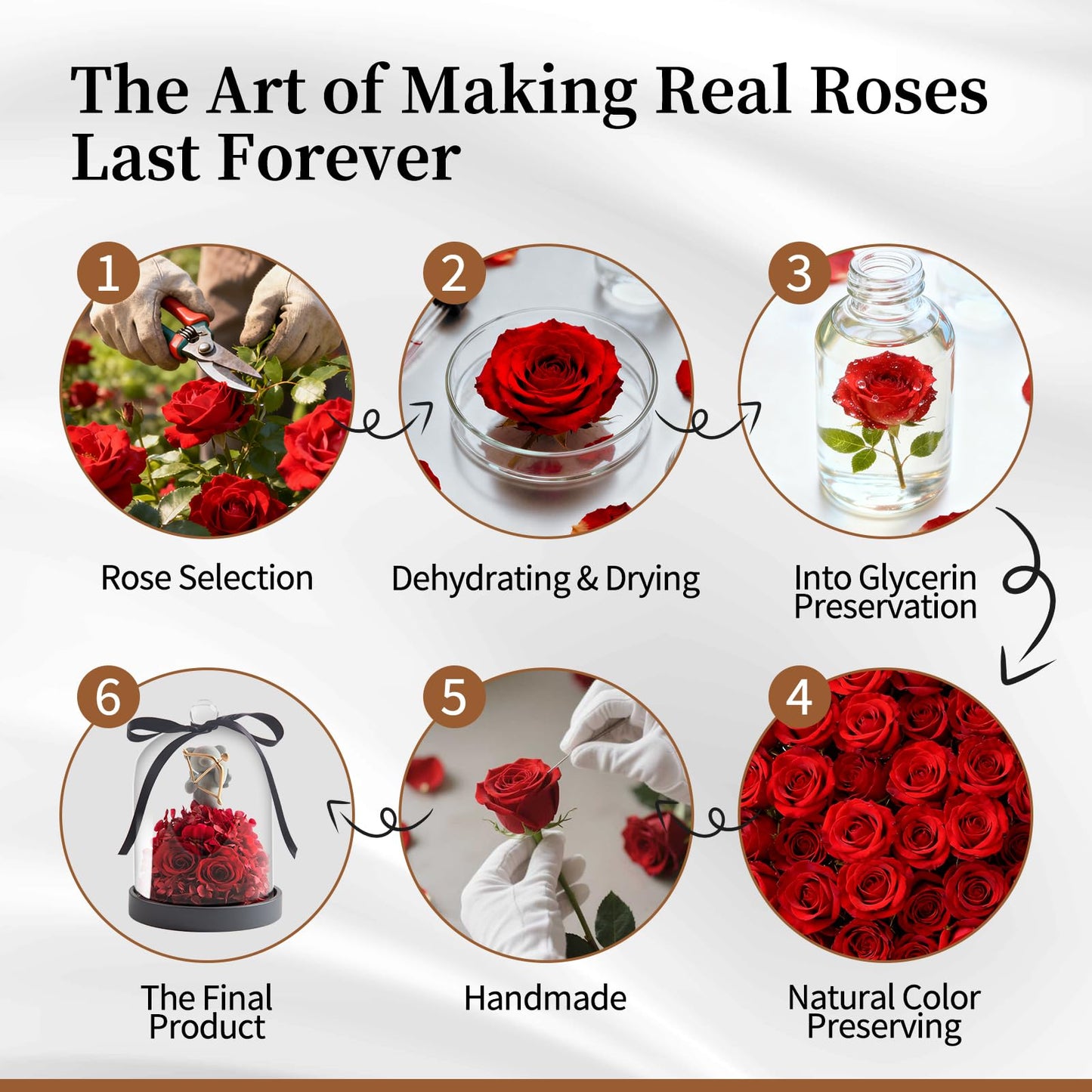 SEEROSE Preserved Roses in Glass with Cupid Rose Bear, Real Forever Rose with Elegant Gift Box, Cute Valentine's Day, Anniversary, Birthday Gift for Her Wife Girlfriend Mom (Cupid Bear, Red)