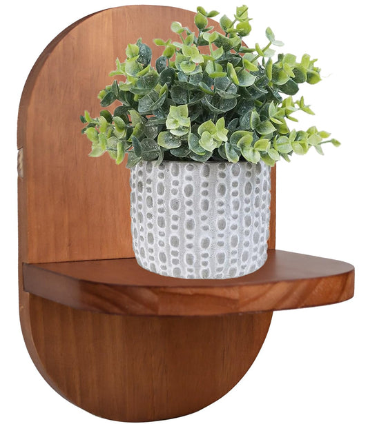 ARTORA Wall Mounted Plant Holder, Wooden Flower Pot Wall Hanging Shelf Black Indoor Outdoor Decorative Floating Shelves Planter Hanger Racks for Wall Bedroom Living Room Porch Balcony Decor (1 Pack)