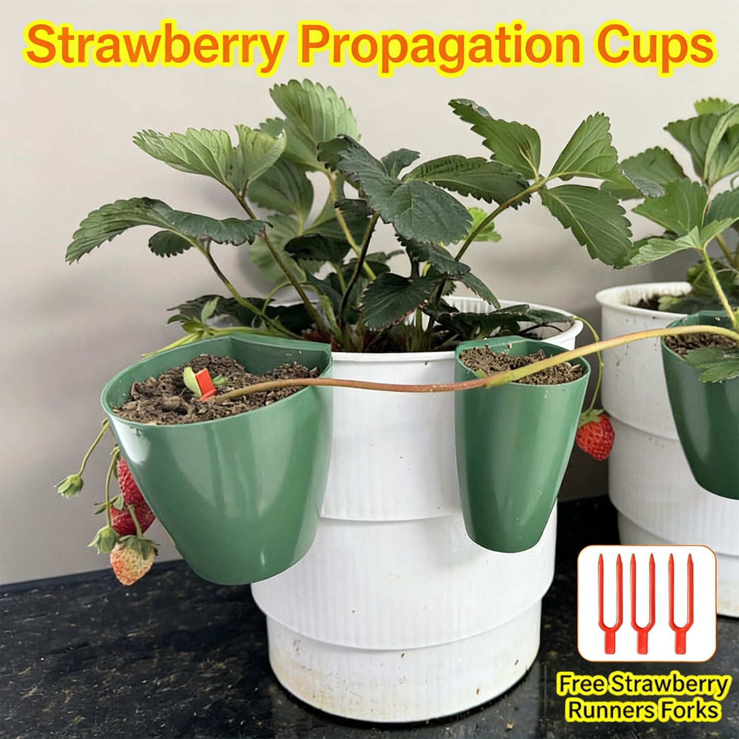 Tsophreniq Strawberry Propagation Cups, Breathable Strawberry Propagation Cup with Forks and Aeration Holes, Breathable Nursery Pots for Home Garden