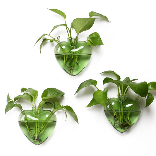 CYZglass Wall Hanging Planter Propagation Station for Indoor Plants Glass Vase Air Plant Holder Gift for Women Girlfriend Plant Lover