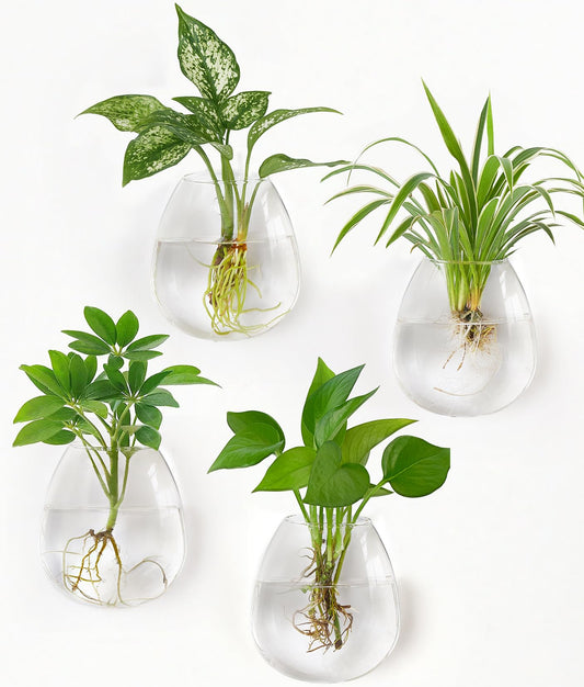 Dahey Propagation Stations Wall Hanging Planters Glass Wall Mounted Vases Oblate Terrarium for Flowers Hydroponics Indoor Plants Home Bathroom Office Decor, 4.7" W x 5.1" H, 4 Pack