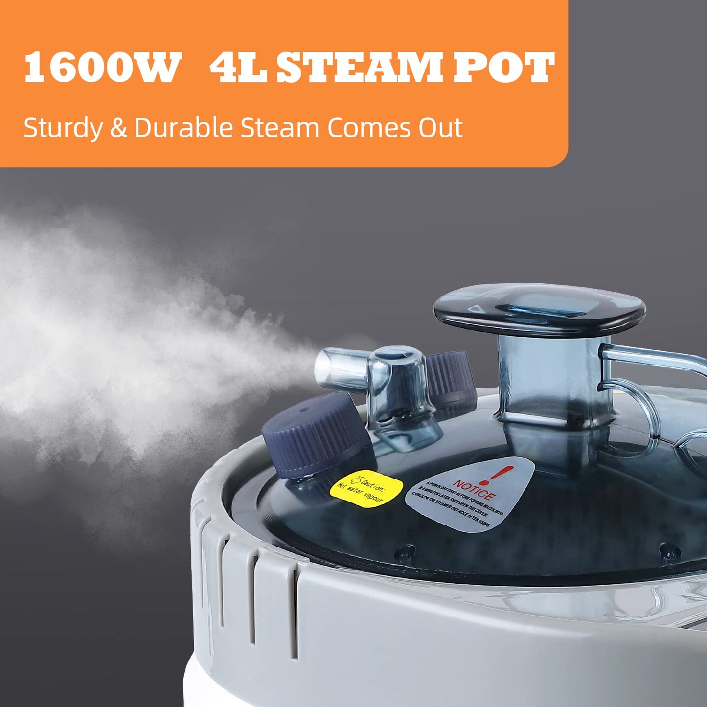 Smartmak Full Size Steam Sauna, One or Two Person Whole Body Large Space Home Spa, 4L Steamer Included-Darkgrey