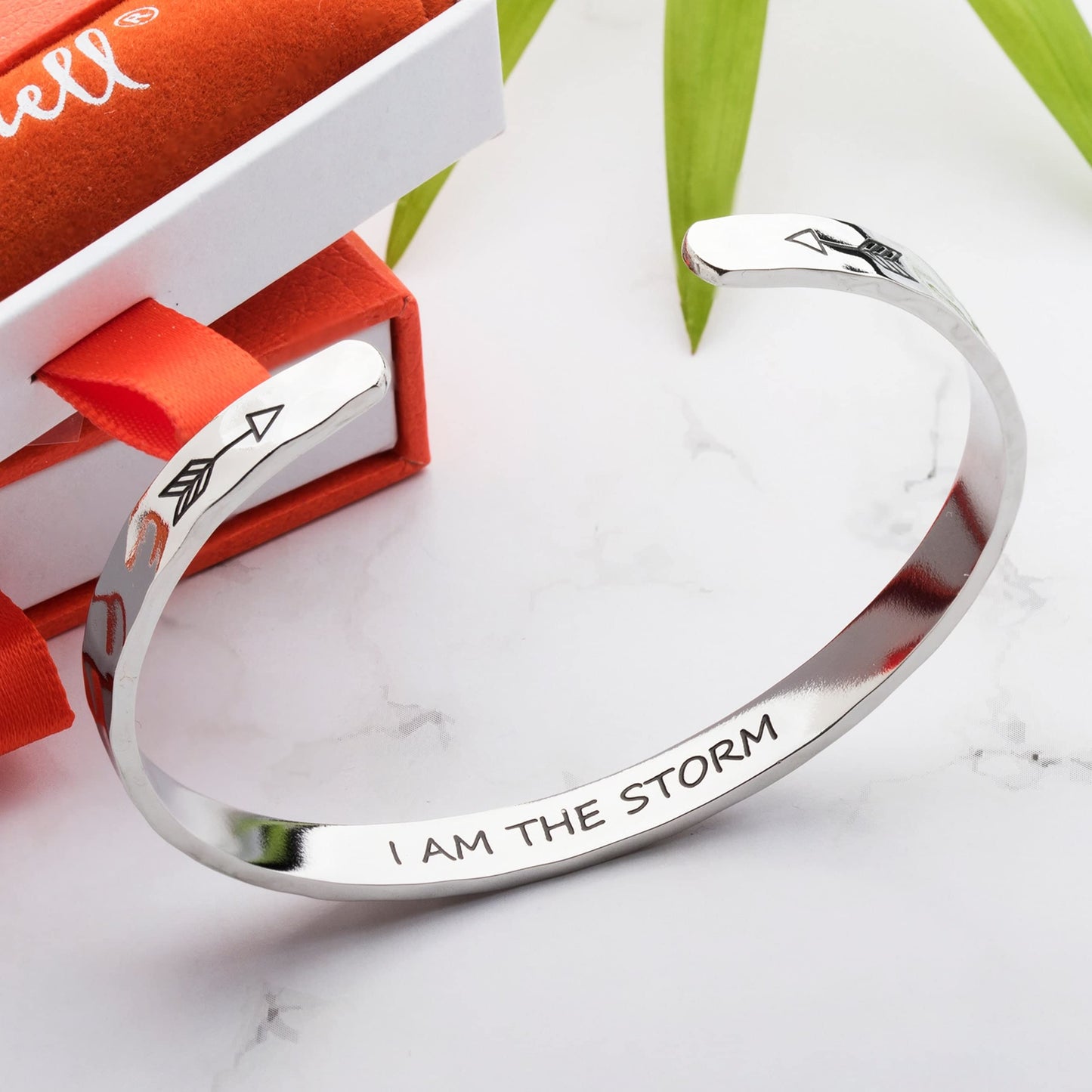 Carviell Stainless Steel Bracelet, I Am The Storm Cuff, Engraved, Encouraging Gift for Women and Teen Girls, Strength Bracelet, Inspirational Bangle, Motivational Jewelry