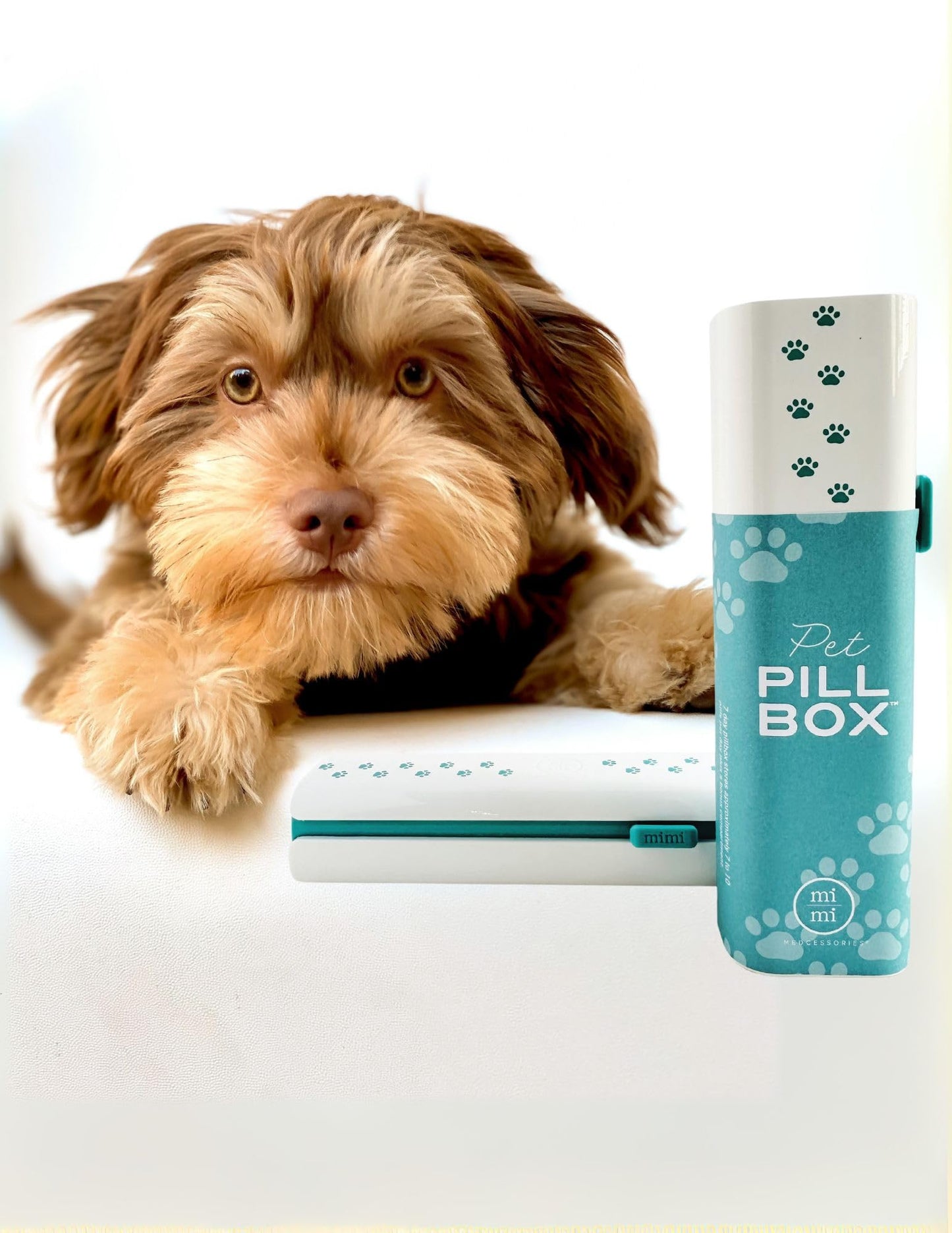 Pet Pill Box Organizer, 7-Day Medicine Container with Paw Print Design, White and Aqua. Pill Container for Vitamin Management, Daily Pill Holder for Dogs and Cats