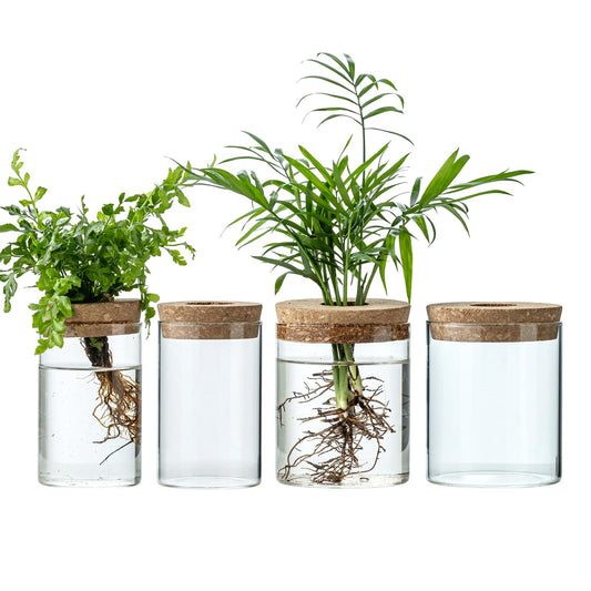 Plant Propagation Stations for Plants, 2 Size Glass Propagation Vases for Propagating Hydroponic Indoor Home Office Decor, Tabletop Glass Planter Gift for Plant Lovers (4)