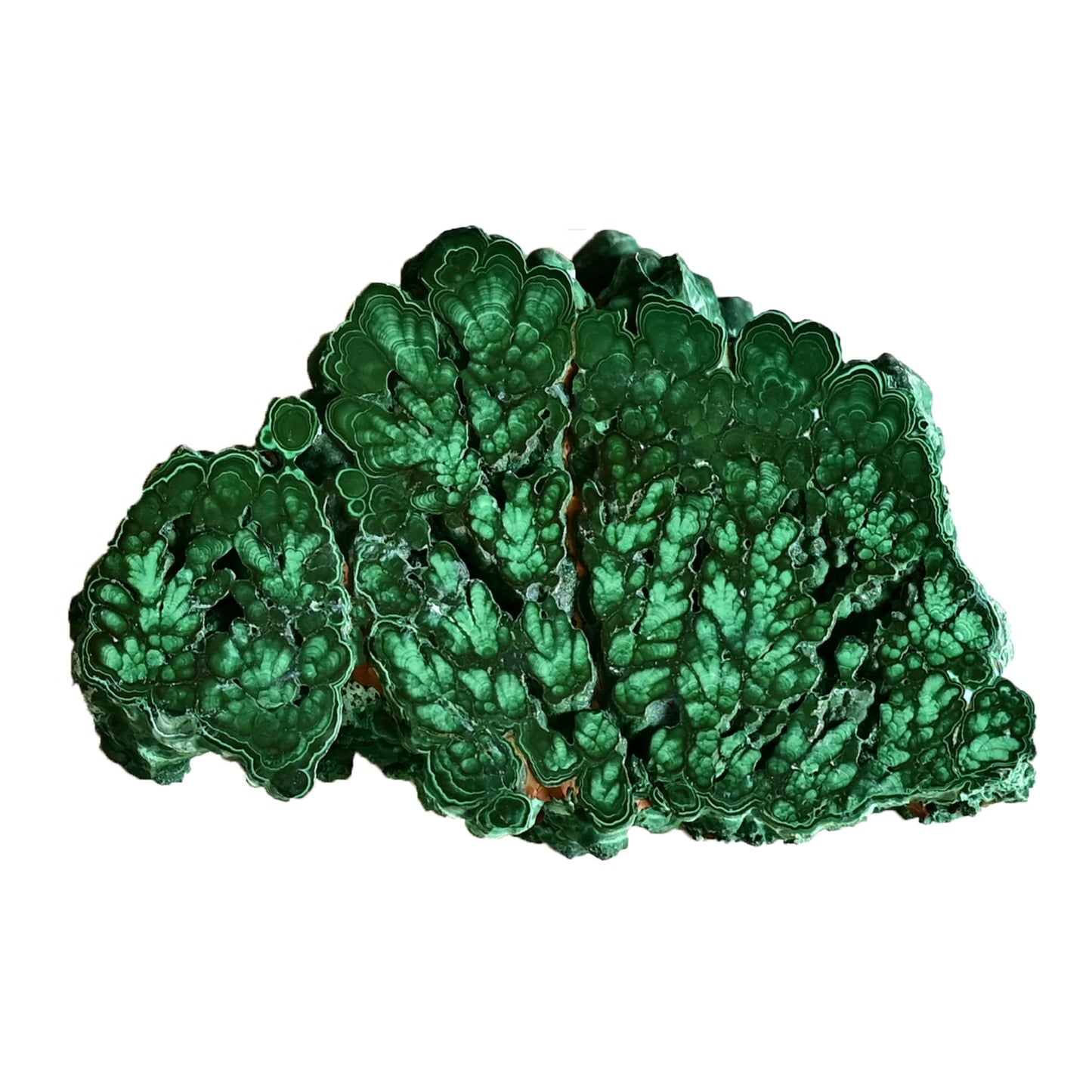 DZJXBZhu Natural Malachite Polished Slice Large Crystal raw Stone Polished Slice 5.3-7.03Oz Healing Crystal eliminates Negative Energy Home Decoration
