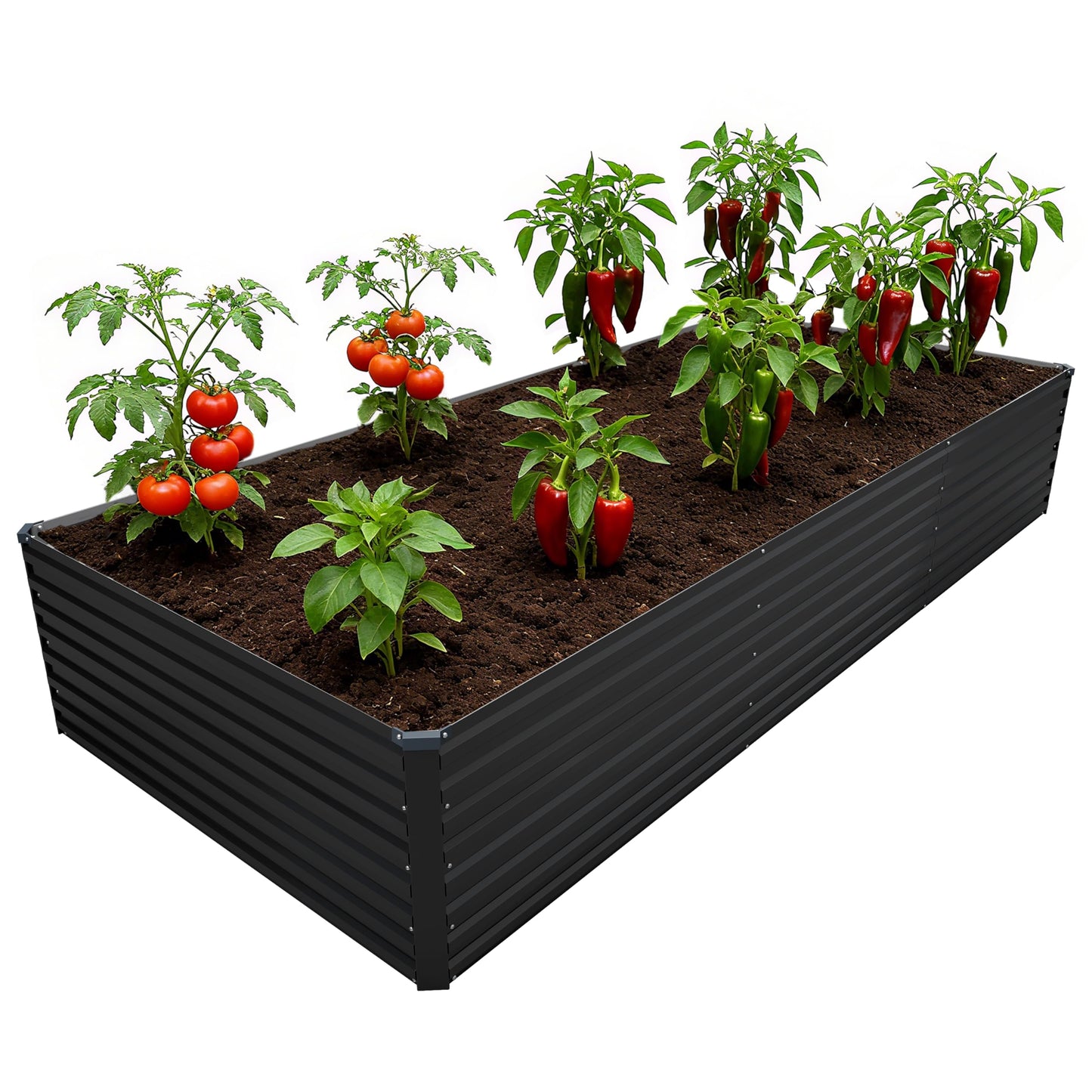DIIYIV 12x4x2FT Galvanized Raised Garden Bed Kit,Vegetable Plant Boxes-Rectangle Metal Flower Box,Large Planter Raised Beds Outdoor Garden for Planting,Fruit,Herb-Black