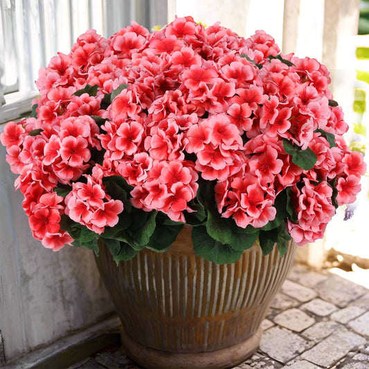 Hananona 6 Pcs Artificial Geranium Flowers for Outdoors Geraniums Silk Flowers Outdoor UV Resistant Garden Plants Faux Flowers for Home Kitchen Table Centerpieces Decor (6, Peach)