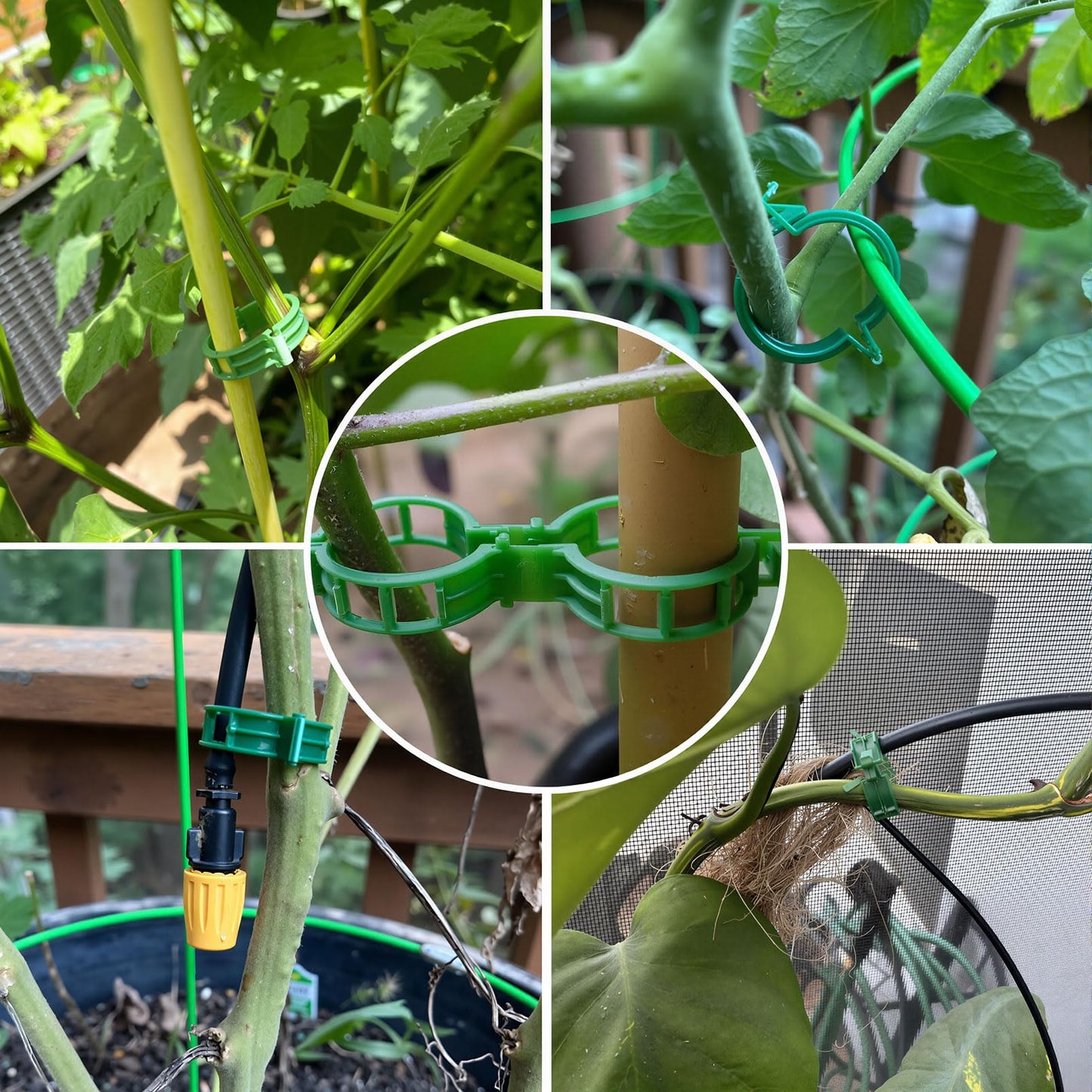 600Pcs Tomato Clips Plastic Plant Support Clips for Garden Trellis Twine and Greenhouse Vine Support Garden Clips for Tomatoes Cucumbers Peppers Climbing Vegetables and Flowers Upright Growth